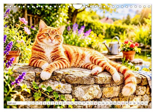 Produktbild: Rote Katzen (Wandkalender 2027 DIN A4 quer), CALVENDO Monatskalender