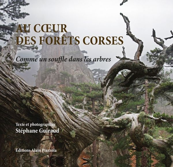 Produktbild: Au coeur forets corses comme s
