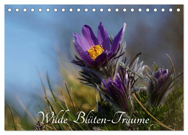 Produktbild: Wilde Bl&uuml;ten-Tr&auml;ume (Tischkalender 2026 DIN A5 quer), CALVENDO Monatskalender