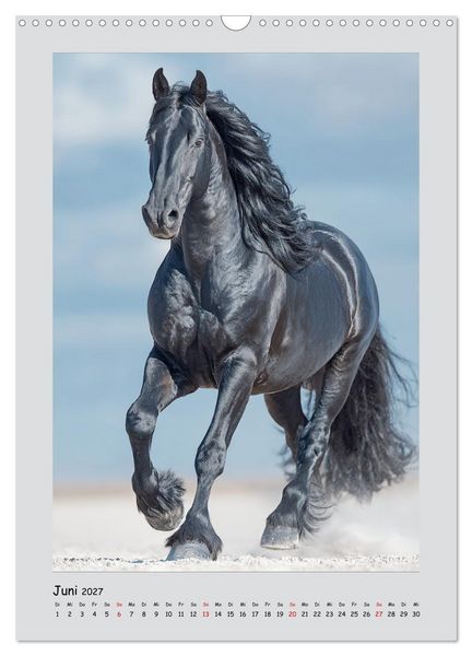 Produktbild: Friesenpferde. Schwarze Eleganz in der Natur (Wandkalender 2027 DIN A3 hoch), CALVENDO Monatskalender