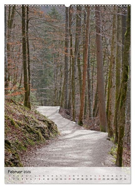 Produktbild: Wege als Traumpfade (Wandkalender 2026 DIN A2 hoch), CALVENDO Monatskalender