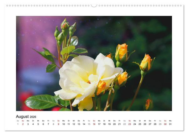 Produktbild: Mein Sehnsuchtsort, der Garten (hochwertiger Premium Wandkalender 2026 DIN A2 quer), Kunstdruck in Hochglanz