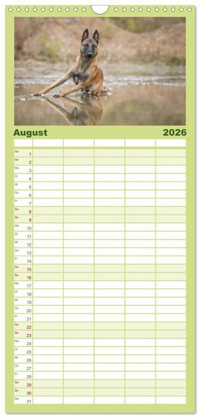 Produktbild: Familienplaner 2026 - Belgischer Sch&auml;ferhund - Der Malinois mit 5 Spalten (Wandkalender, 21 x 45 cm) CALVENDO