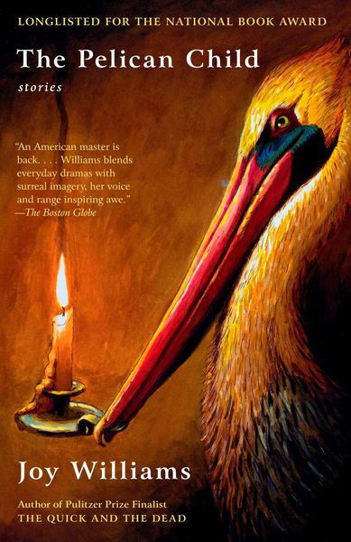 Produktbild: The Pelican Child