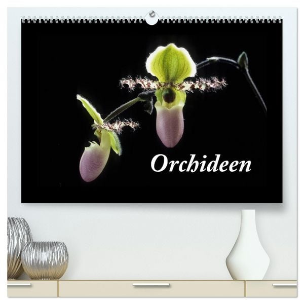 Orchideen 2026 (hochwertiger Premium Wandkalender 2026 DIN A2 quer), Kunstdruck in Hochglanz