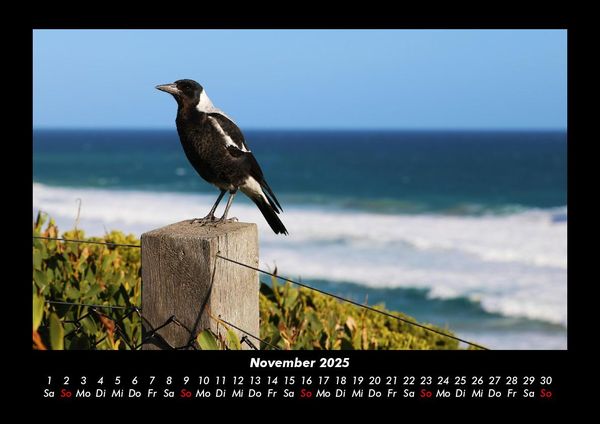 Produktbild: Vogelparadies 2025 Fotokalender DIN A3