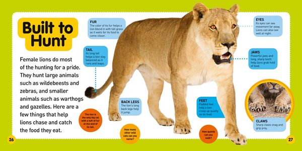 Produktbild: Explore My World: Lions