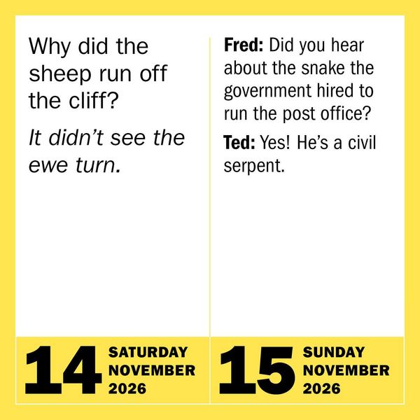 Produktbild: 290 Bad Jokes & 75 Punderful Puns Page-A-Day(r) Calendar 2026