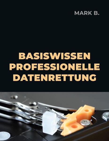Produktbild: Basiswissen professionelle Datenrettung