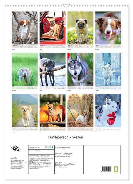 Produktbild: Hundepers&ouml;nlichkeiten (Wandkalender 2026 DIN A2 hoch), CALVENDO Monatskalender