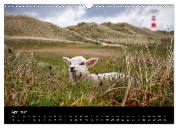 Produktbild: SYLT hinter den D&uuml;nen (Wandkalender 2027 DIN A3 quer), CALVENDO Monatskalender
