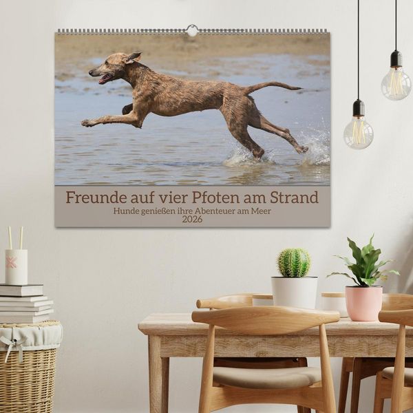 Produktbild: Freunde auf vier Pfoten am Strand (Wandkalender 2026 DIN A2 quer), CALVENDO Monatskalender
