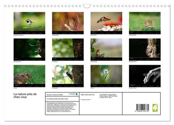 Produktbild: La nature pr&egrave;s de chez vous (Calendrier mural 2026 DIN A3 vertical), CALVENDO calendrier mensuel