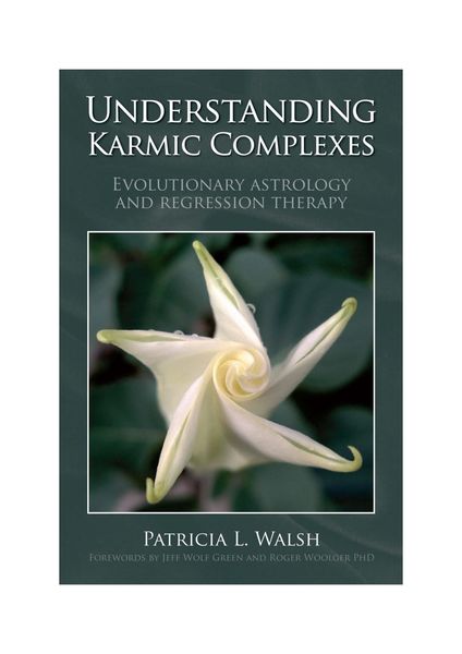 Produktbild: Understanding Karmic Complexes
