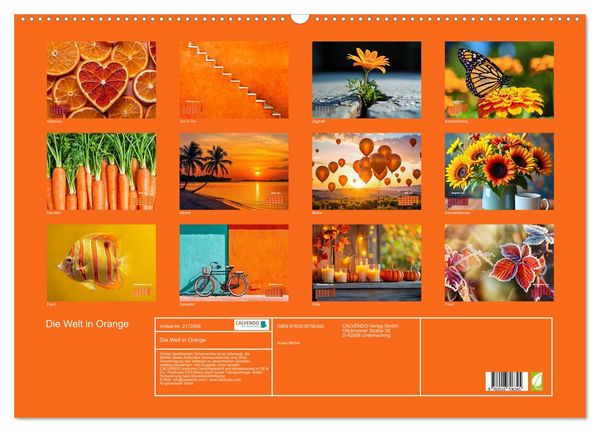 Produktbild: Die Welt in Orange (Wandkalender 2026 DIN A2 quer), CALVENDO Monatskalender