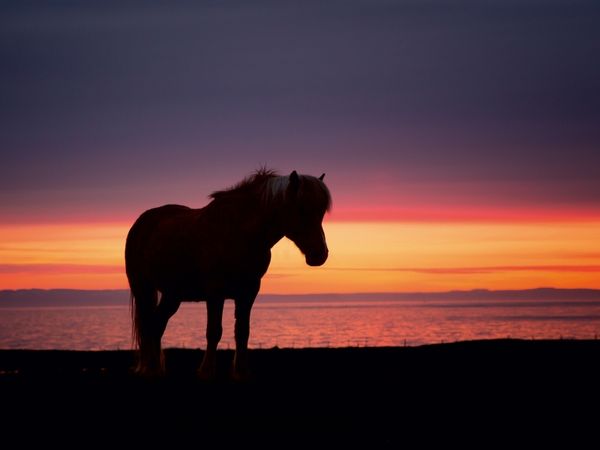 Produktbild: Ein Motiv aus dem Kalender Beautiful Nature - Iceland (Puzzle)