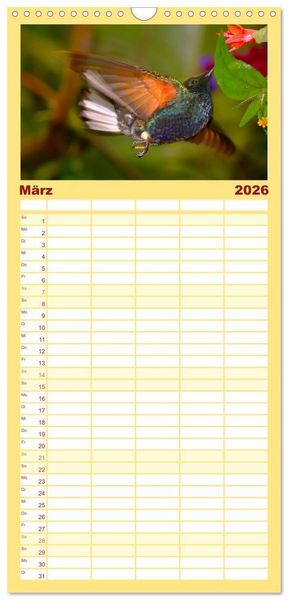 Produktbild: Familienplaner 2026 - Kolibris; Anmut, Sch&ouml;nheit, Farben mit 5 Spalten (Wandkalender, 21 x 45 cm) CALVENDO