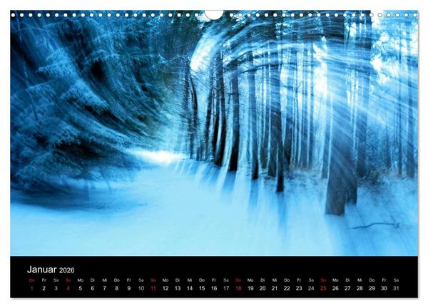 Produktbild: Magischer Wald (Wandkalender 2026 DIN A3 quer), CALVENDO Monatskalender