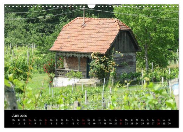 Produktbild: Weinidylle im S&uuml;dburgenland (Wandkalender 2026 DIN A3 quer), CALVENDO Monatskalender