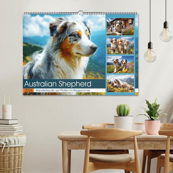 Produktbild: Australian Shepherd. Wanderfreude auf Pfoten im Bergsommer (Wandkalender 2026 DIN A2 quer), CALVENDO Monatskalender