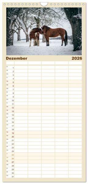 Produktbild: Familienplaner 2026 - Spiegel deiner Seele mit 5 Spalten (Wandkalender, 21 x 45 cm) CALVENDO