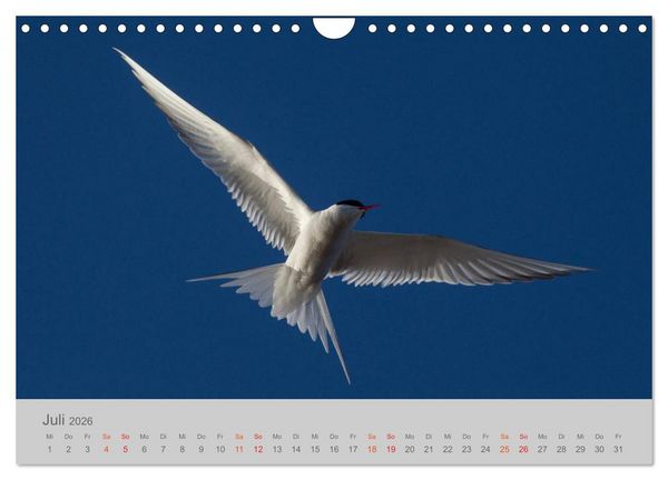 Produktbild: Spitzbergen 80&deg; Nord (Wandkalender 2026 DIN A4 quer), CALVENDO Monatskalender