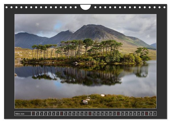 Produktbild: IRLAND - Insel der gl&uuml;cklichen Schafe (Wandkalender 2026 DIN A4 quer), CALVENDO Monatskalender