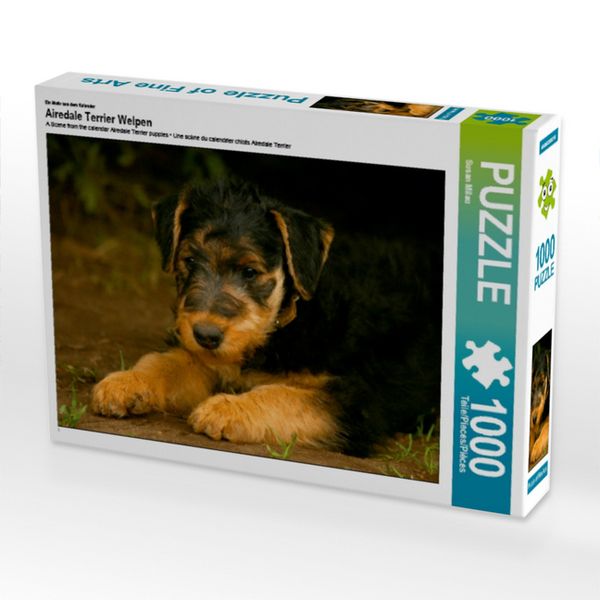 Ein Motiv aus dem Kalender Airedale Terrier Welpen (Puzzle)