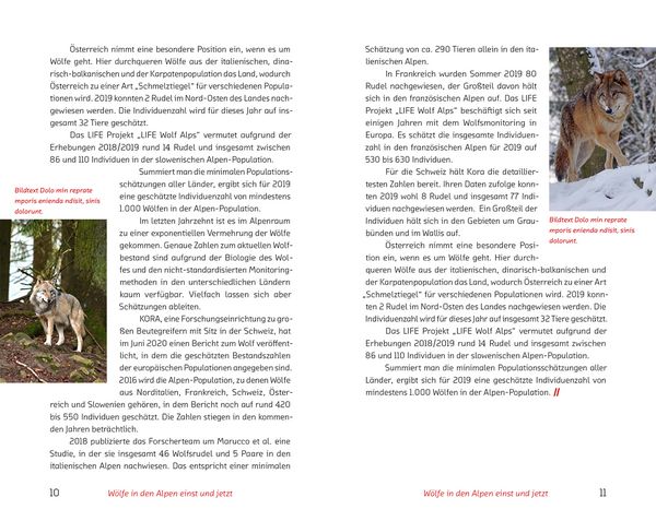Produktbild: Der Wolf im Visier &ndash; Konflikte und L&ouml;sungsans&auml;tze