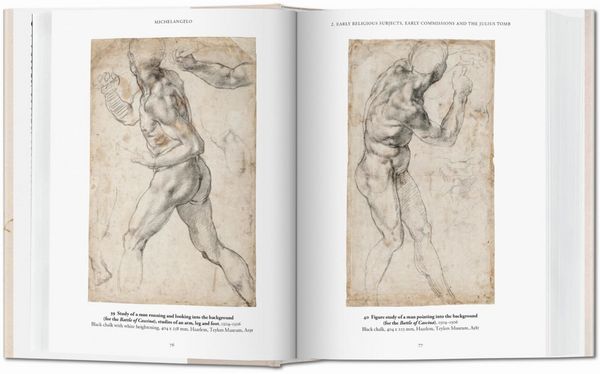 Produktbild: Michelangelo