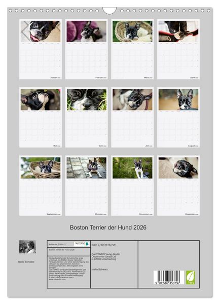 Produktbild: Boston Terrier der Hund 2026 (Wandkalender 2026 DIN A3 hoch), CALVENDO Monatskalender
