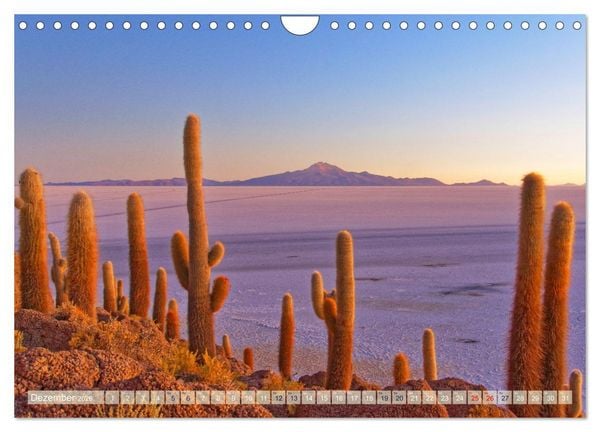 Produktbild: Entdecke Bolivien (Wandkalender 2026 DIN A4 quer), CALVENDO Monatskalender