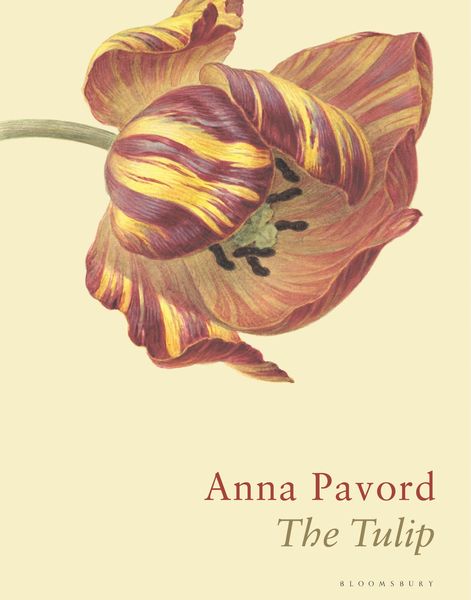 Produktbild: The Tulip