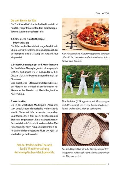 Produktbild: Akupunktur beim Pferd