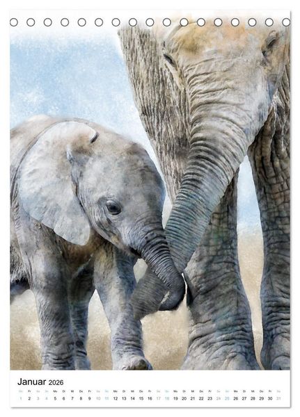 Produktbild: Afrikas Tierwelt - wie gemalt (Tischkalender 2026 DIN A5 hoch), CALVENDO Monatskalender