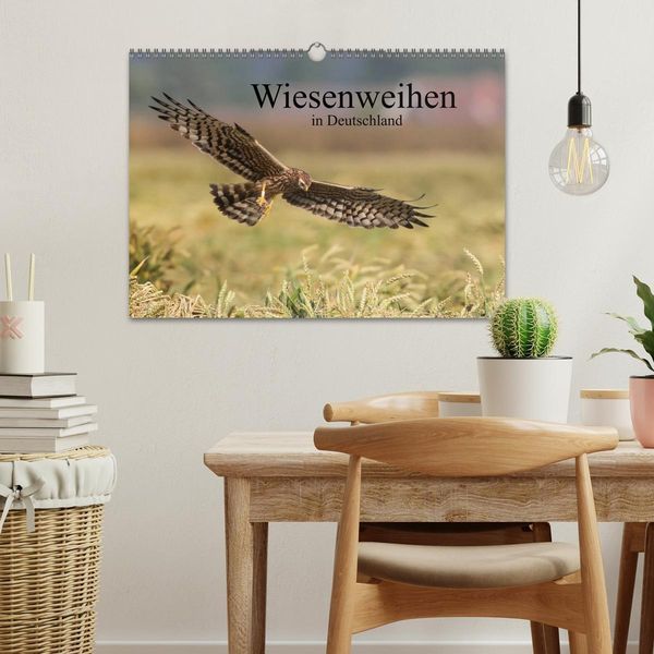 Produktbild: Wiesenweihen in Deutschland (Wandkalender 2026 DIN A3 quer), CALVENDO Monatskalender