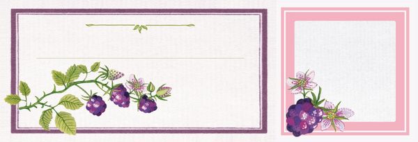 Produktbild: Marmeladen-Deko-Set - Beeren