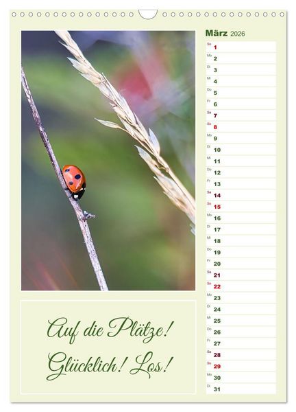 Produktbild: Marienk&auml;fer, Gl&uuml;cksbringer mit sieben Punkten (Wandkalender 2026 DIN A3 hoch), CALVENDO Monatskalender