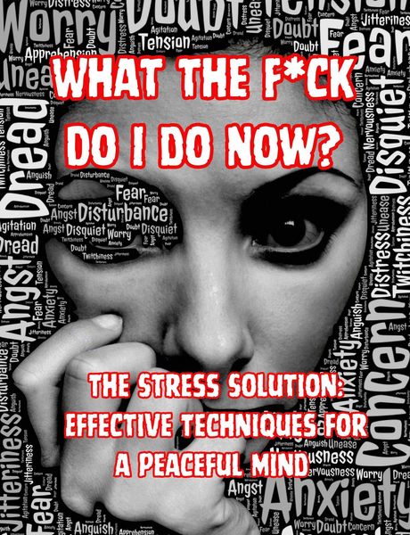 Produktbild: What the F*ck Do I do Now? The Stress Solution: Effective Techniques for a Peaceful Mind