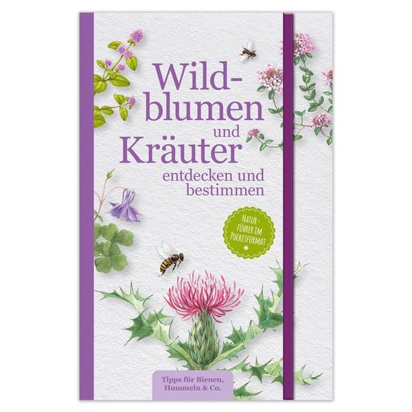 Produktbild: Wildblumen und Kr&auml;uter entdecken und bestimmen