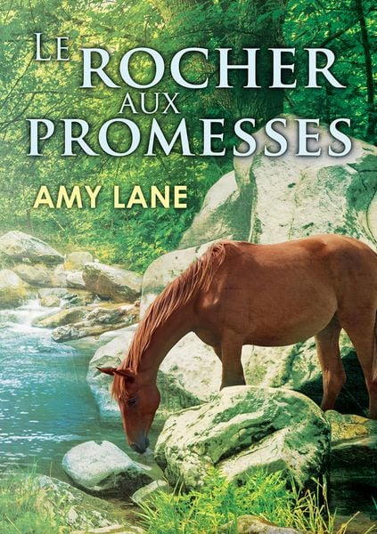 Produktbild: Le rocher aux promesses