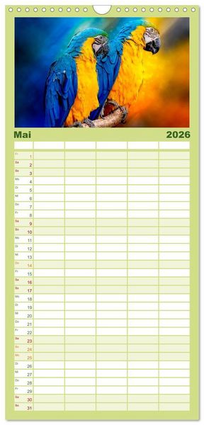 Produktbild: Familienplaner 2026 - Mein bunter Papagei mit 5 Spalten (Wandkalender, 21 x 45 cm) CALVENDO