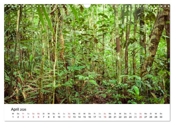 Produktbild: Mythos Amazonas - Naturparadies Brasiliens (Wandkalender 2026 DIN A3 quer), CALVENDO Monatskalender