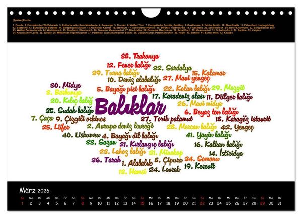 Produktbild: Sprachkalender T&uuml;rkisch-Deutsch (Wandkalender 2026 DIN A4 quer), CALVENDO Monatskalender