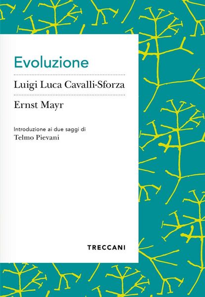 Produktbild: Evoluzione