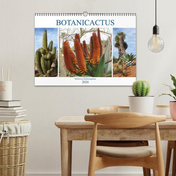 Produktbild: BOTANICACTUS Mallorcas Kakteengarten (Wandkalender 2026 DIN A3 quer), CALVENDO Monatskalender