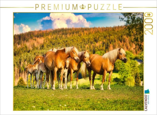 CALVENDO Puzzle Gruppe mit Fohlen | 2000 Teile Lege-Größe 90x67cm Foto-Puzzle für glückliche Stunden, Sonstige von , Calvendo Puzzle, 4066851406046