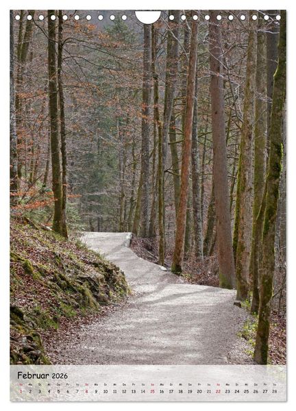 Produktbild: Wege als Traumpfade (Wandkalender 2026 DIN A4 hoch), CALVENDO Monatskalender