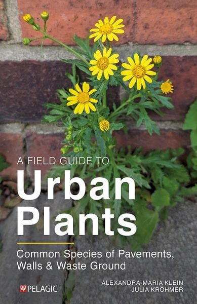 Produktbild: A Field Guide to Urban Plants