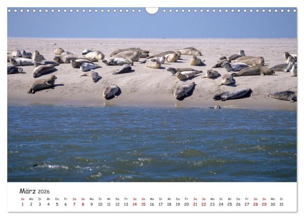 Produktbild: Nordsee, Meer, Strand und Wind (Wandkalender 2026 DIN A3 quer), CALVENDO Monatskalender